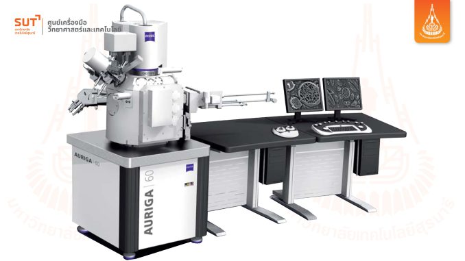 FESEM-FIB/EDS - Carl Zeiss/AURIGA